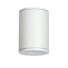 ^E27 PAR30  ROUND CEILING LUMINAIRE 230V AC MATT WHITE IP65 MAX.35W