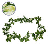 ® 09012 Τεχνητό Κρεμαστό Φυτό Διακοσμητική Γιρλάντα Μήκους 2.2 μέτρων με 32 X Μικρά Τριαντάφυλλα Λευκά
