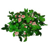 ® 09018 Τεχνητό Κρεμαστό Φυτό Διακοσμητική Γιρλάντα Μήκους 2.2 μέτρων με 33 X Μικρά Τριαντάφυλλα Ροζ Λευκά